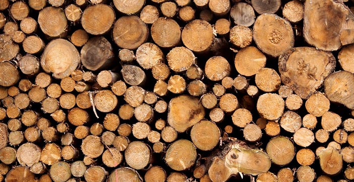 Schornsteinmarkt erklärt wie man Brennholz lagert