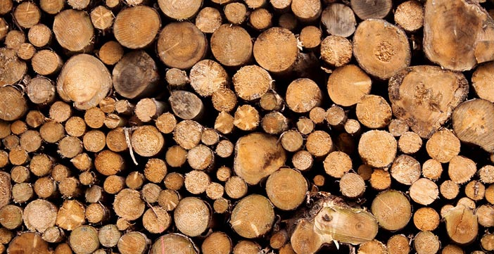 Wie wird Brennholz richtig gelagert? Schornsteinmarkt erklärt wie man Brennholz lagert