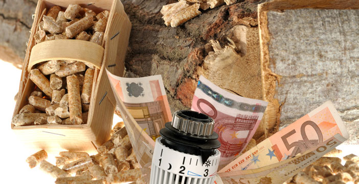 Heizungsregler mit Geldscheinen, Feuerholz und Holzpellets in einem Korb