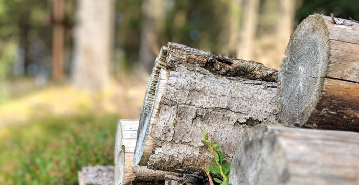 holz-für-ofenbefeuerung